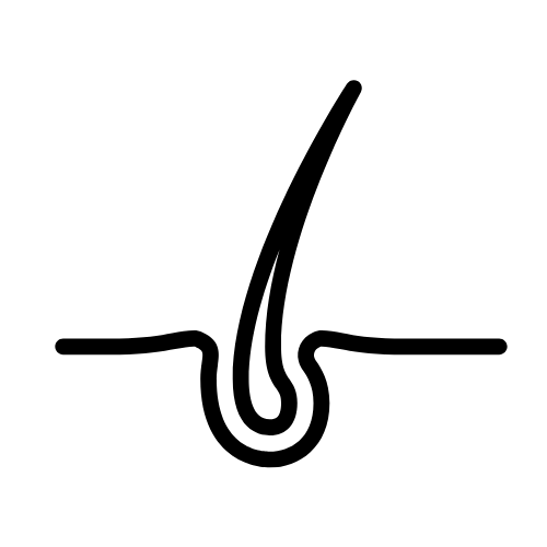 A single black star on a white background.
